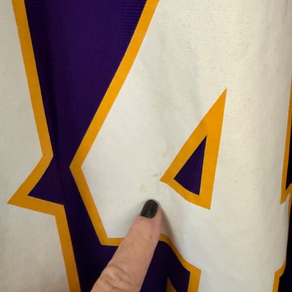 Vintage Minnesota Viking Randy Moss NFL Football Jersey Size Large - Picture 3 of 5